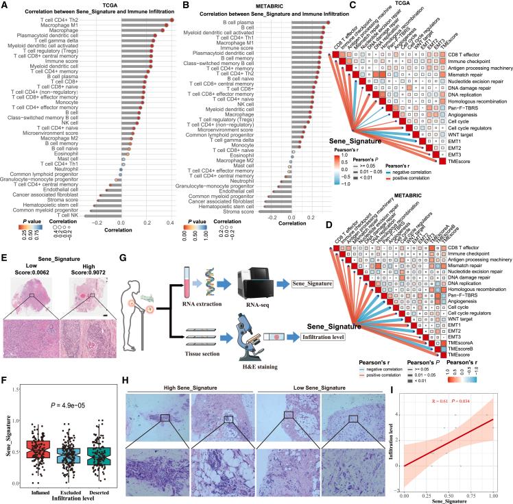 https://cdn.ncbi.nlm.nih.gov/pmc/blobs/d5f3/11408383/3d77d60ff7fb/gr4.jpg