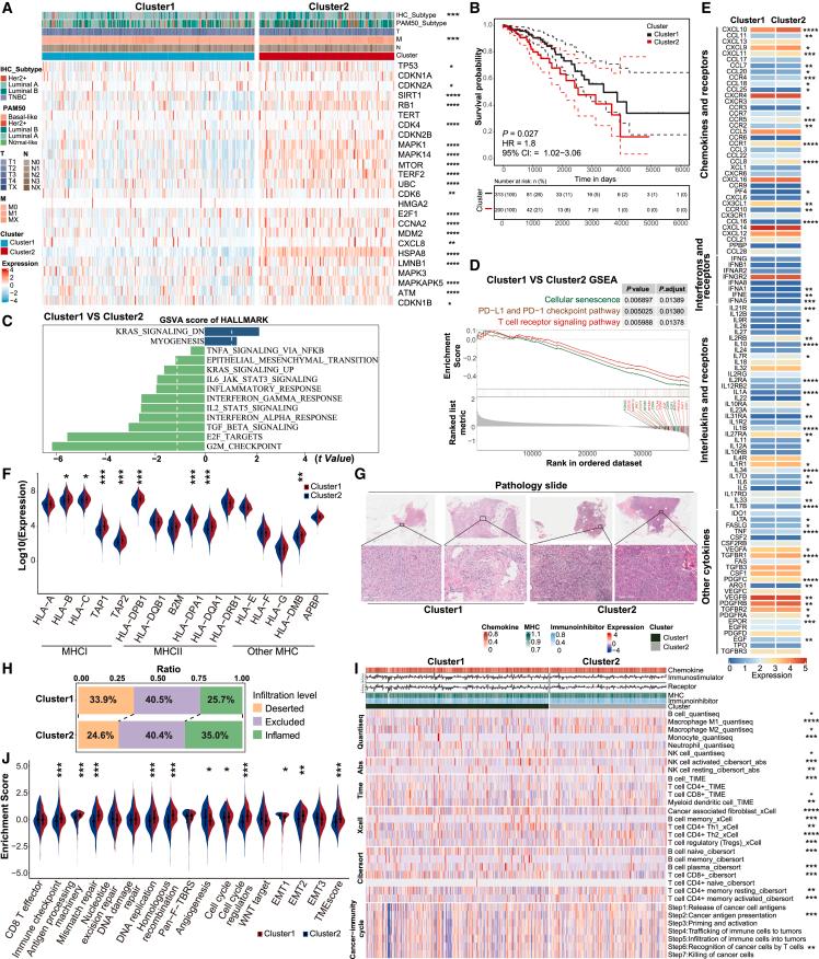 https://cdn.ncbi.nlm.nih.gov/pmc/blobs/d5f3/11408383/dbc3eeb5ac47/gr1.jpg