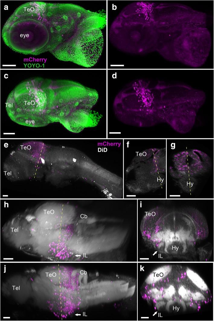 https://cdn.ncbi.nlm.nih.gov/pmc/blobs/d5f3/6407210/9a916496121f/12915_2019_631_Fig4_HTML.jpg
