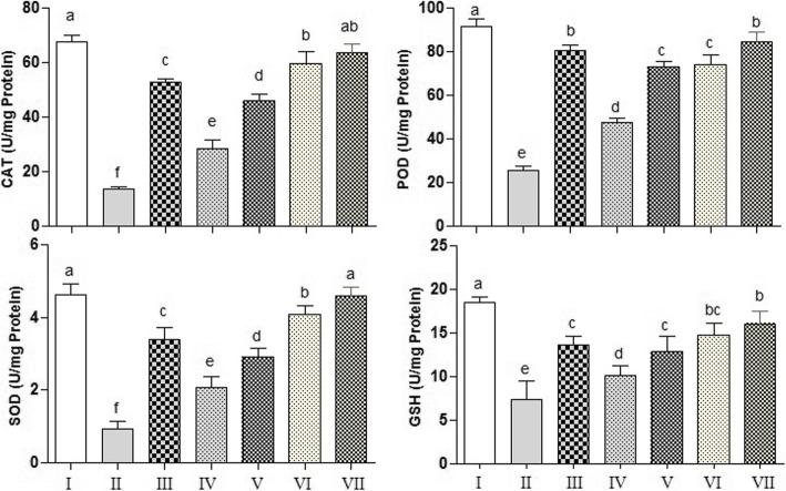 https://cdn.ncbi.nlm.nih.gov/pmc/blobs/d5f4/7488709/c311d2965854/12199_2020_893_Fig2_HTML.jpg