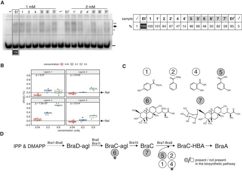 https://cdn.ncbi.nlm.nih.gov/pmc/blobs/d5f6/7837296/2077f120acdc/ELSC-21-4-g002.jpg