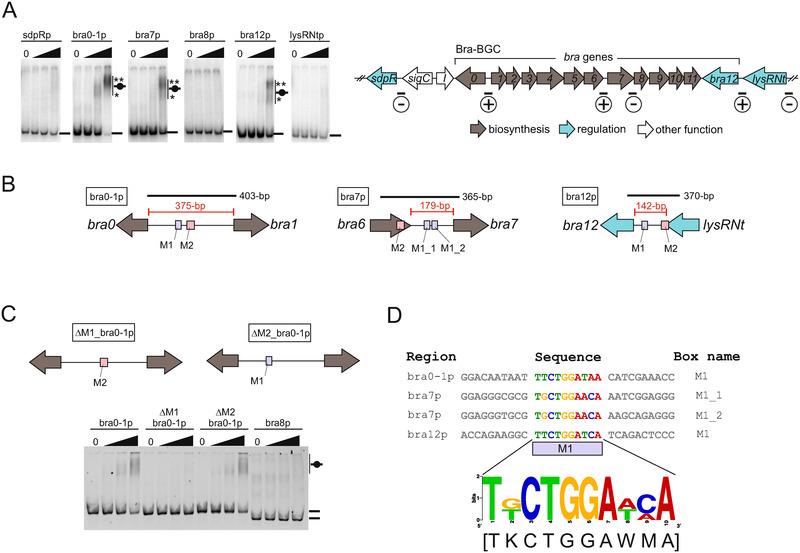 https://cdn.ncbi.nlm.nih.gov/pmc/blobs/d5f6/7837296/a460d6ce4e5b/ELSC-21-4-g004.jpg