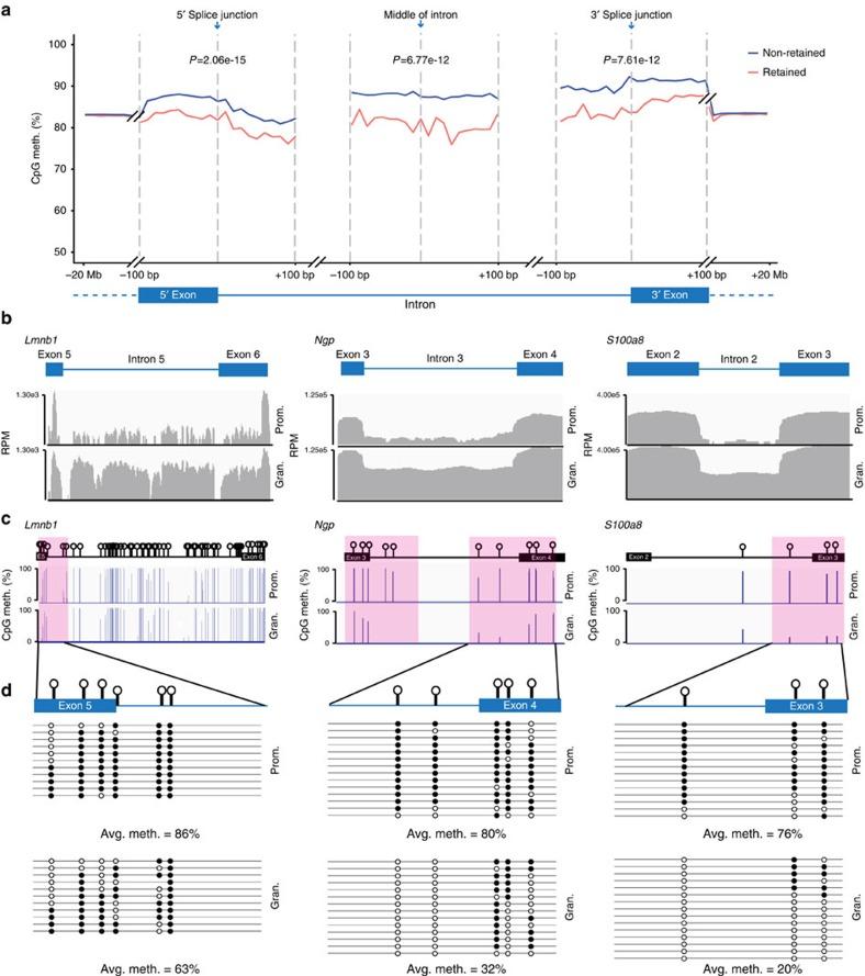https://cdn.ncbi.nlm.nih.gov/pmc/blobs/d5f8/5424149/7cc5d3247dd6/ncomms15134-f1.jpg