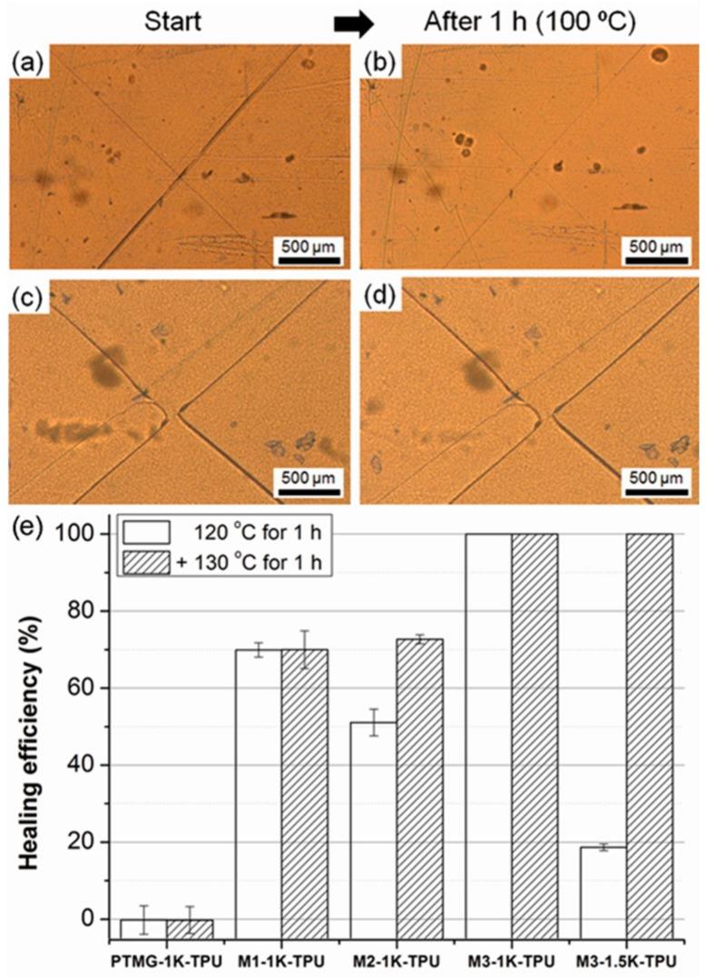 https://cdn.ncbi.nlm.nih.gov/pmc/blobs/d5f8/6418697/1a41ffe1e8b6/polymers-09-00663-g009.jpg