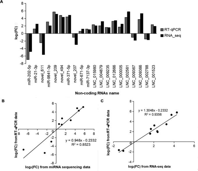 https://cdn.ncbi.nlm.nih.gov/pmc/blobs/d5fa/11331363/ce63dd712491/jast-66-4-663-g7.jpg