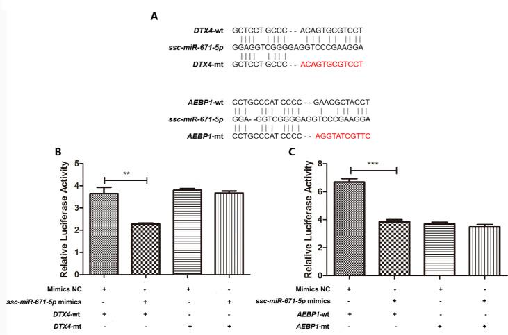 https://cdn.ncbi.nlm.nih.gov/pmc/blobs/d5fa/11331363/f042342bd4a7/jast-66-4-663-g8.jpg