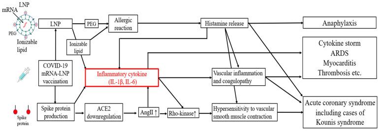 https://cdn.ncbi.nlm.nih.gov/pmc/blobs/d5fa/11507195/fcaf855c55c6/diseases-12-00231-g001.jpg