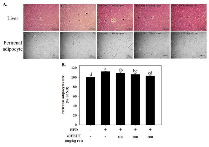 https://cdn.ncbi.nlm.nih.gov/pmc/blobs/d5fc/12039537/46e4eccb0e49/jfda-33-01-048f1.jpg