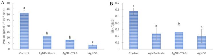https://cdn.ncbi.nlm.nih.gov/pmc/blobs/d5fd/10343332/b5115a606575/nanomaterials-13-01967-g005.jpg