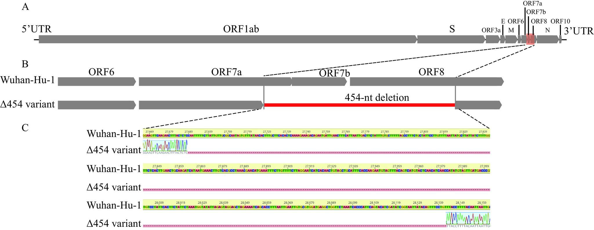 https://cdn.ncbi.nlm.nih.gov/pmc/blobs/d5fd/9579981/ec947cb694ff/ccdcw-4-40-904-2.jpg