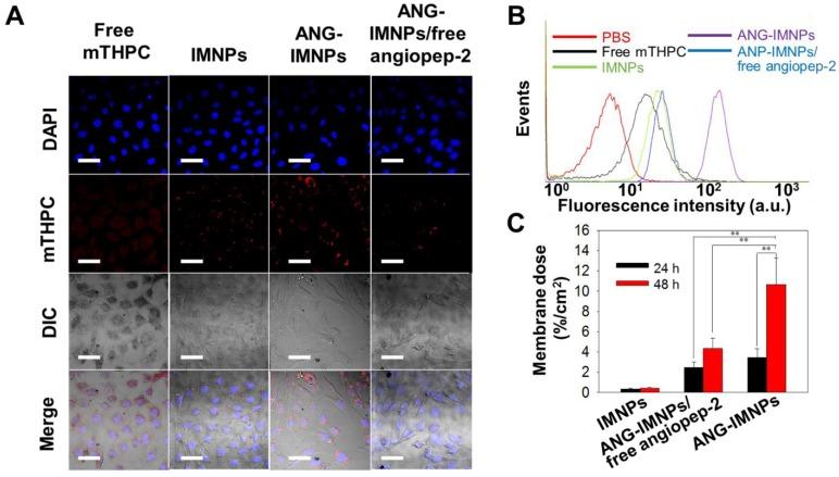 https://cdn.ncbi.nlm.nih.gov/pmc/blobs/d5fe/5835948/07d72b06209a/thnov08p1435g004.jpg