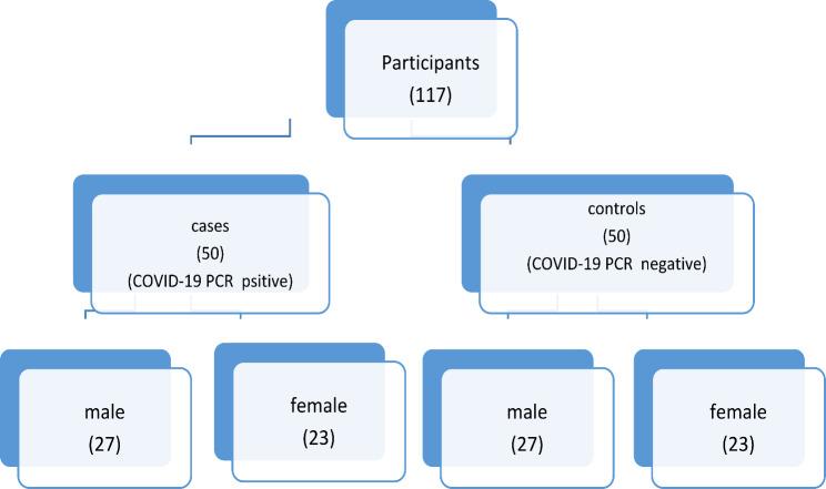 https://cdn.ncbi.nlm.nih.gov/pmc/blobs/d607/11409811/3a96972bed76/12879_2024_9897_Fig1_HTML.jpg