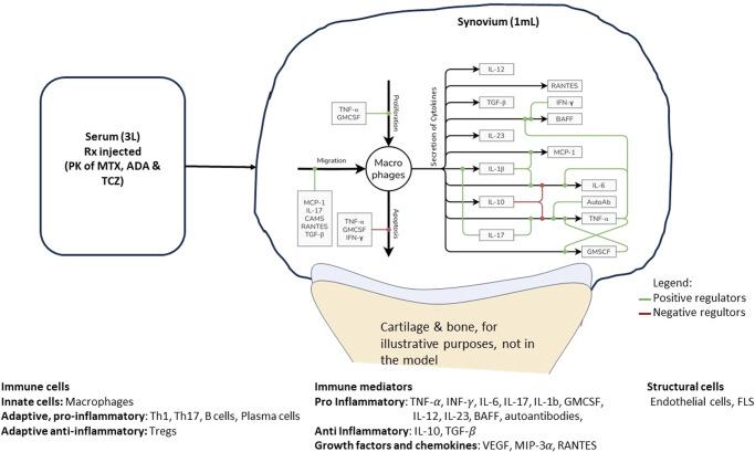 https://cdn.ncbi.nlm.nih.gov/pmc/blobs/d60b/11535547/9ecb45507cb8/41540_2024_454_Fig1_HTML.jpg