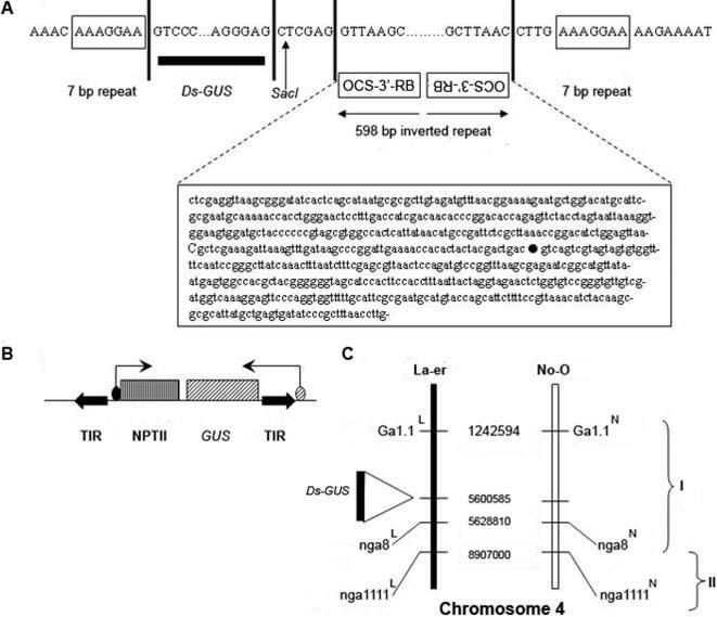 https://cdn.ncbi.nlm.nih.gov/pmc/blobs/d60c/1978519/1f9a84232a5c/pone.0000965.g001.jpg