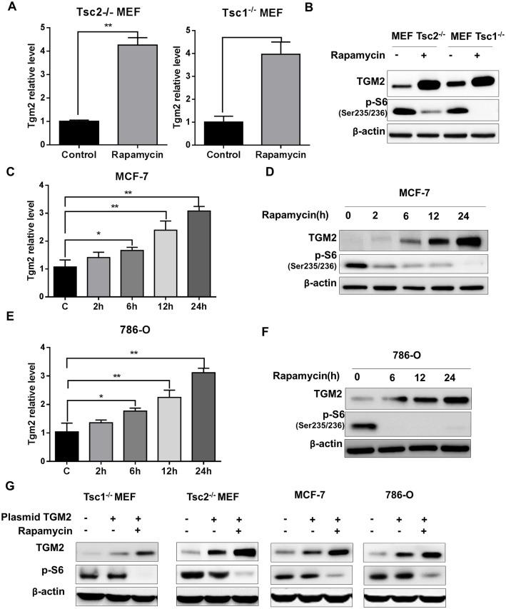 https://cdn.ncbi.nlm.nih.gov/pmc/blobs/d60c/4752276/9ace18e40c34/pone.0149388.g002.jpg