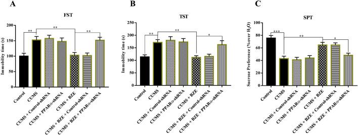 https://cdn.ncbi.nlm.nih.gov/pmc/blobs/d60e/12075530/30a0d672cfa3/fphar-16-1595341-g006.jpg