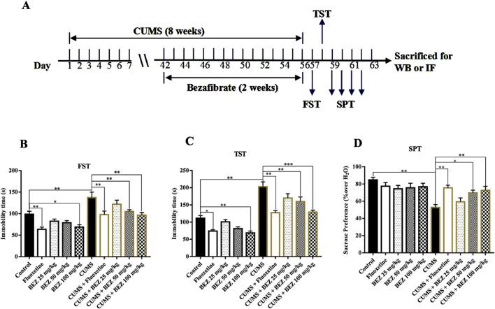 https://cdn.ncbi.nlm.nih.gov/pmc/blobs/d60e/12075530/b13abd7c3104/fphar-16-1595341-g001.jpg