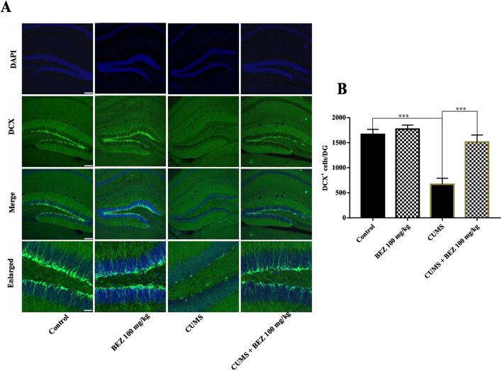 https://cdn.ncbi.nlm.nih.gov/pmc/blobs/d60e/12075530/d4935c318d82/fphar-16-1595341-g003.jpg