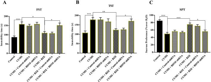 https://cdn.ncbi.nlm.nih.gov/pmc/blobs/d60e/12075530/e8df76468976/fphar-16-1595341-g007.jpg