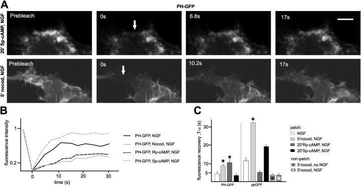 https://cdn.ncbi.nlm.nih.gov/pmc/blobs/d60e/2171909/5922ef978f6d/200407058f9.jpg
