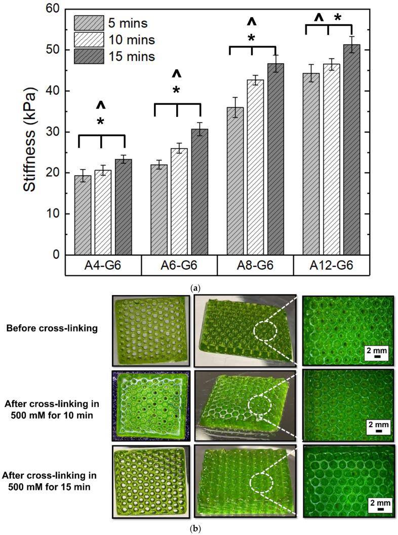 https://cdn.ncbi.nlm.nih.gov/pmc/blobs/d60e/9695625/17d47c6e39e9/materials-15-07945-g006.jpg