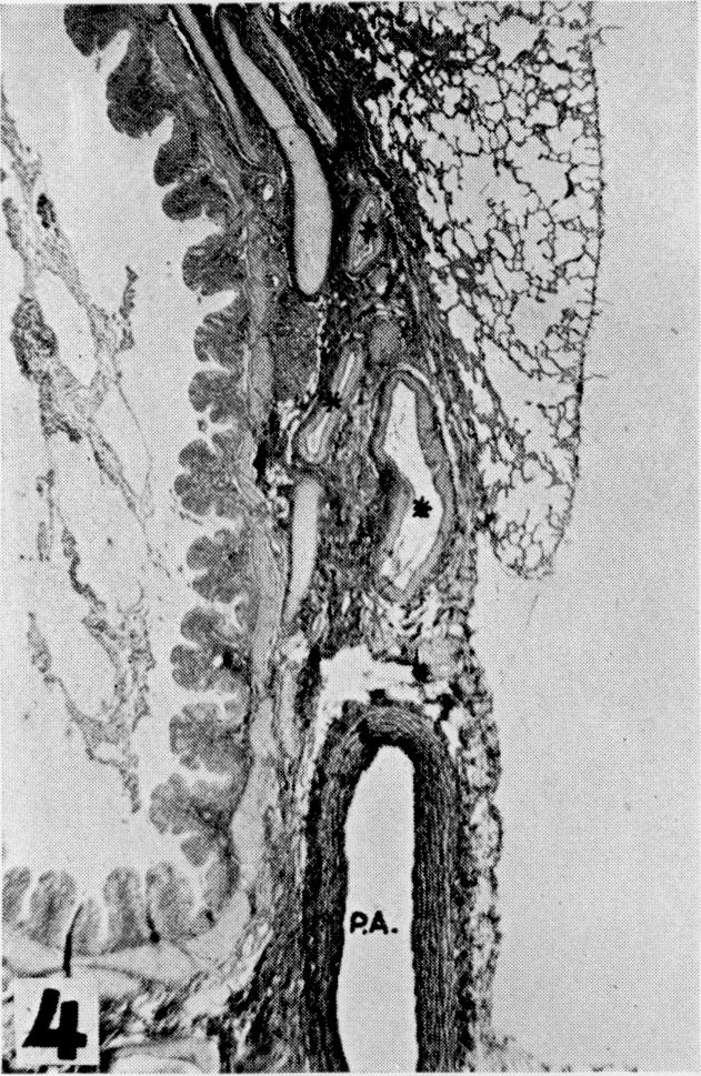 https://cdn.ncbi.nlm.nih.gov/pmc/blobs/d60f/2599213/df3231d9d40c/yjbm00344-0190-b.jpg