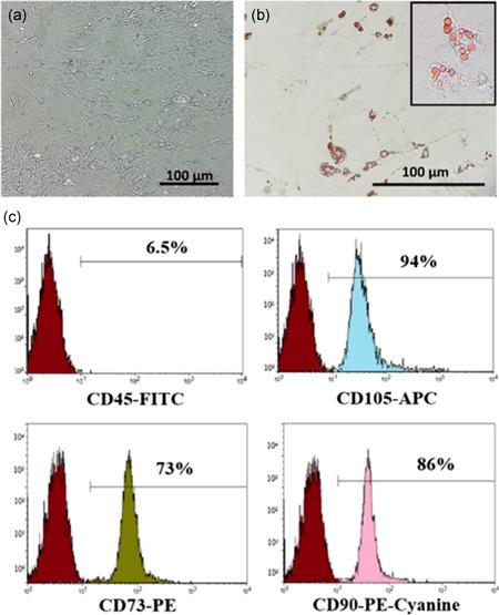 https://cdn.ncbi.nlm.nih.gov/pmc/blobs/d610/7496360/9154f1950b3d/JCP-235-7043-g001.jpg