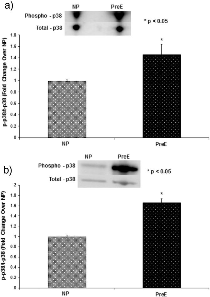 https://cdn.ncbi.nlm.nih.gov/pmc/blobs/d611/4906135/0f57778a950f/gr2.jpg