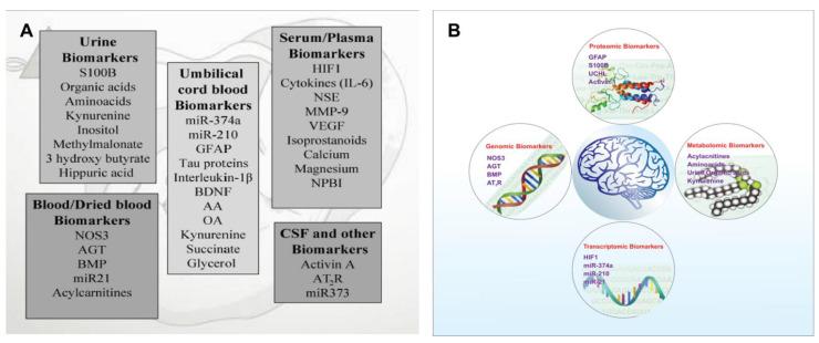 https://cdn.ncbi.nlm.nih.gov/pmc/blobs/d611/9598631/6a45c79aa509/bioengineering-09-00498-g004.jpg