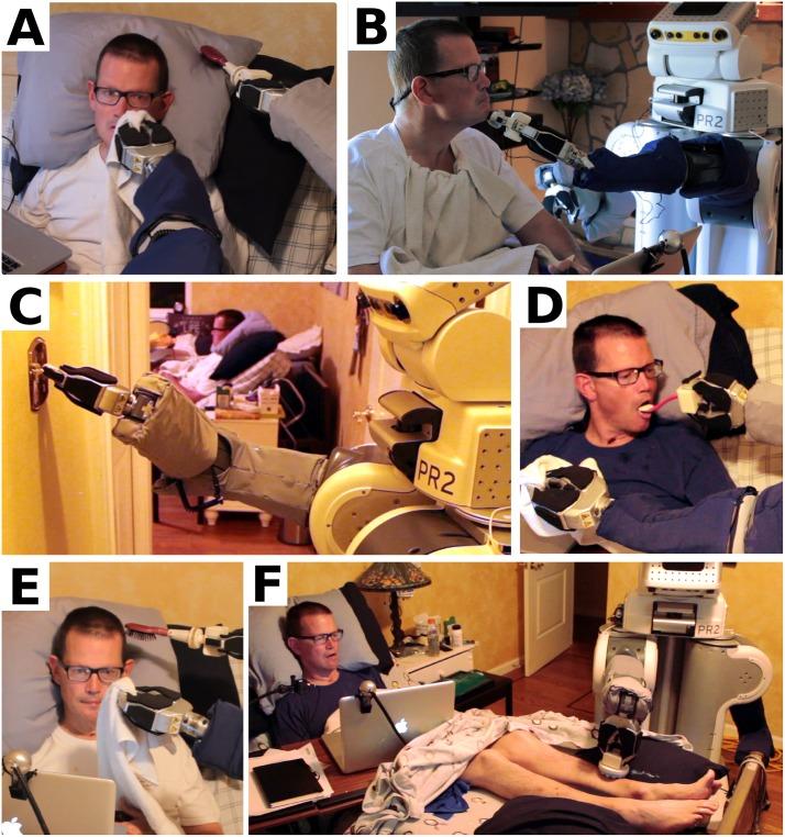 https://cdn.ncbi.nlm.nih.gov/pmc/blobs/d614/6420017/0bdc2ce149c2/pone.0212904.g013.jpg