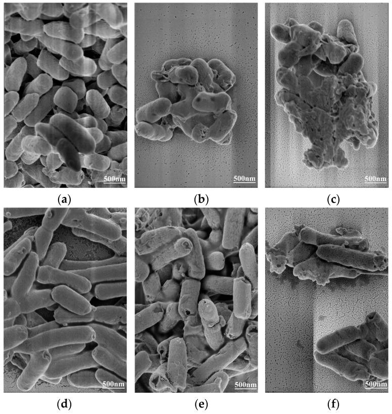 https://cdn.ncbi.nlm.nih.gov/pmc/blobs/d614/8587693/1622a65377e4/molecules-26-06748-g006.jpg