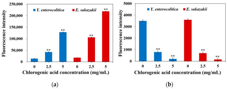 https://cdn.ncbi.nlm.nih.gov/pmc/blobs/d614/8587693/1b82816f8227/molecules-26-06748-g003.jpg