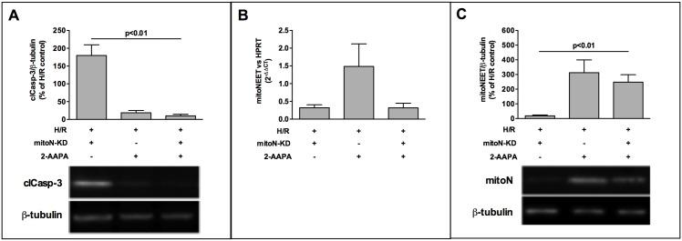 https://cdn.ncbi.nlm.nih.gov/pmc/blobs/d615/4887087/9636d2592875/pone.0156054.g005.jpg