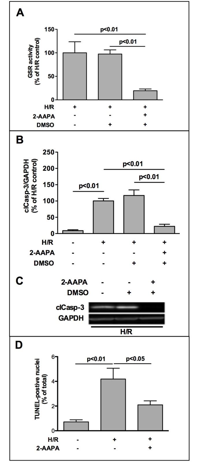 https://cdn.ncbi.nlm.nih.gov/pmc/blobs/d615/4887087/96b482d4d050/pone.0156054.g003.jpg