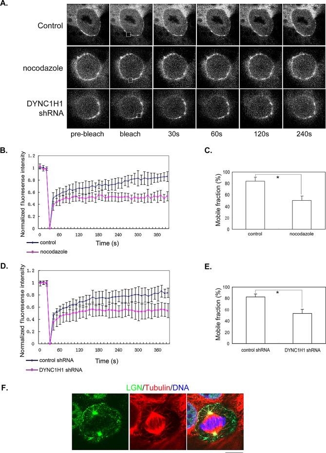 https://cdn.ncbi.nlm.nih.gov/pmc/blobs/d616/3608500/852bc38d7165/901fig4.jpg