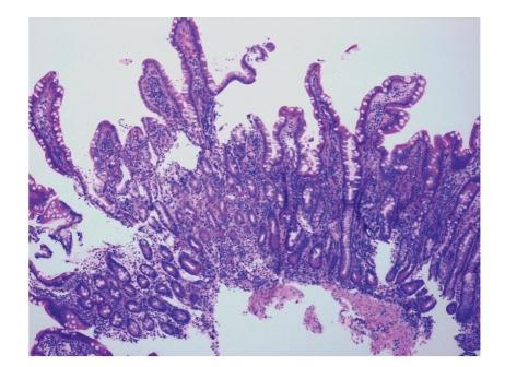 https://cdn.ncbi.nlm.nih.gov/pmc/blobs/d619/2874920/19efae384086/GRP2010-597648.004.jpg
