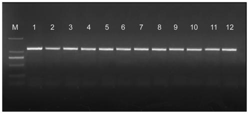 https://cdn.ncbi.nlm.nih.gov/pmc/blobs/d619/3288001/b7a3293a4eb8/pone.0029961.g005.jpg