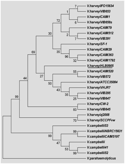 https://cdn.ncbi.nlm.nih.gov/pmc/blobs/d619/3288001/ca89549f9aa1/pone.0029961.g006.jpg