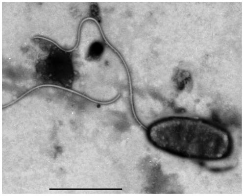 https://cdn.ncbi.nlm.nih.gov/pmc/blobs/d619/3288001/e9fcca5aa956/pone.0029961.g004.jpg