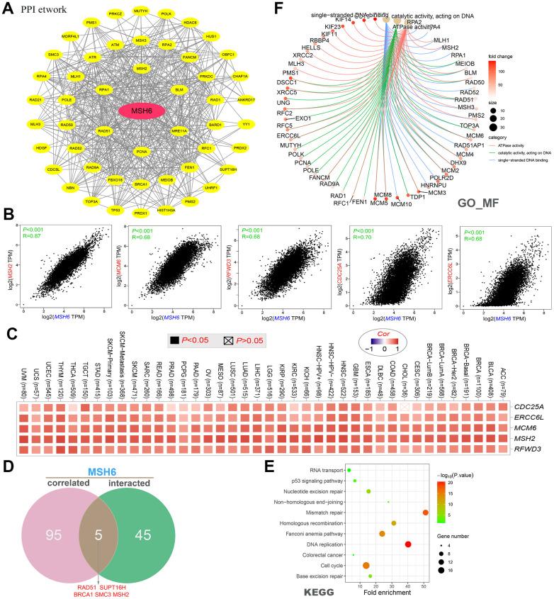 https://cdn.ncbi.nlm.nih.gov/pmc/blobs/d619/8714153/ac0dc0ecc263/aging-13-203745-g006.jpg