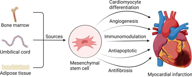 https://cdn.ncbi.nlm.nih.gov/pmc/blobs/d61b/11438184/9bee2600361d/13287_2024_3942_Fig2_HTML.jpg