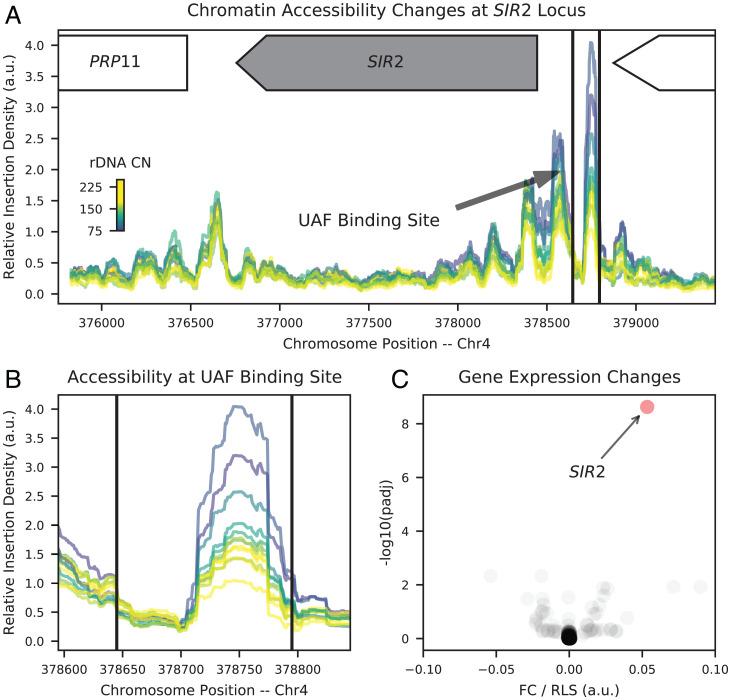 https://cdn.ncbi.nlm.nih.gov/pmc/blobs/d61e/9169770/9098f27dfd51/pnas.2119593119fig03.jpg