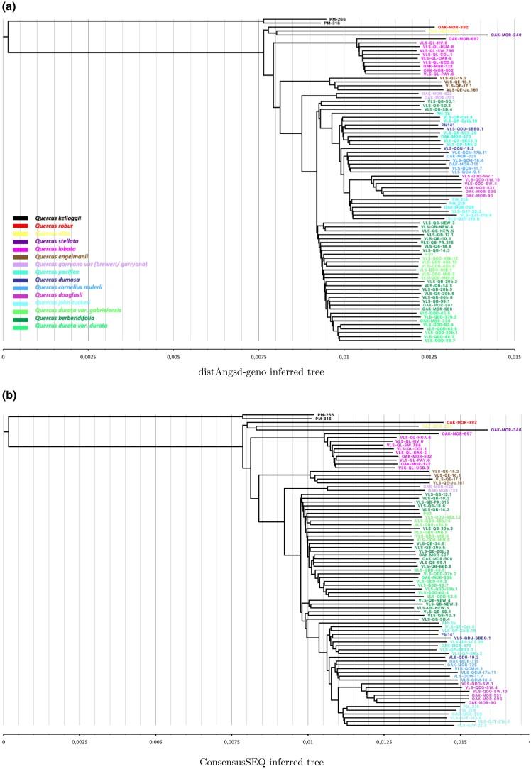 https://cdn.ncbi.nlm.nih.gov/pmc/blobs/d61e/9234764/e968cc31b92d/msac119f8a.jpg