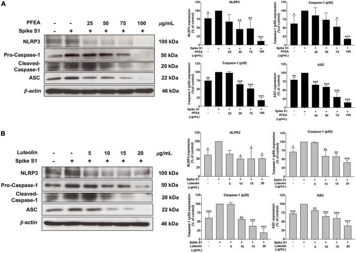 https://cdn.ncbi.nlm.nih.gov/pmc/blobs/d61e/9870545/f2f9ebbd9243/fmed-09-1072056-g004.jpg
