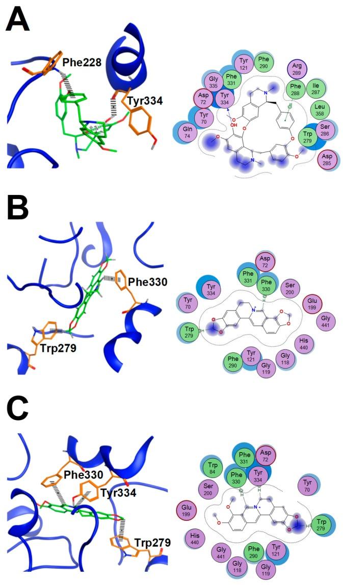 https://cdn.ncbi.nlm.nih.gov/pmc/blobs/d61f/6943709/28952d75073a/molecules-24-04567-g006.jpg