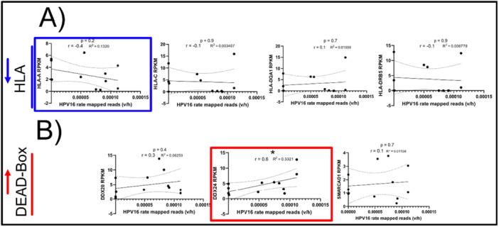 https://cdn.ncbi.nlm.nih.gov/pmc/blobs/d622/12048892/44723d1c79b2/JMV-97-e70371-g002.jpg