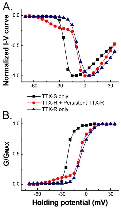 https://cdn.ncbi.nlm.nih.gov/pmc/blobs/d623/2667275/2eb9bbd9f0cc/ijbsv05p0293g03.jpg