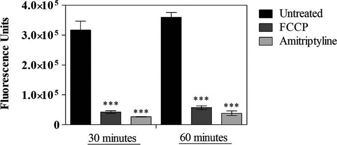 https://cdn.ncbi.nlm.nih.gov/pmc/blobs/d625/12368814/405ca2dc3cae/ao5c04856_0003.jpg