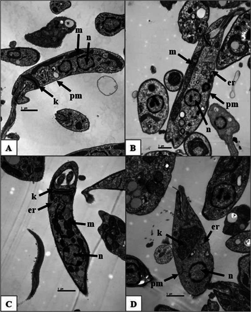 https://cdn.ncbi.nlm.nih.gov/pmc/blobs/d625/12368814/e7592f7ad2e1/ao5c04856_0005.jpg