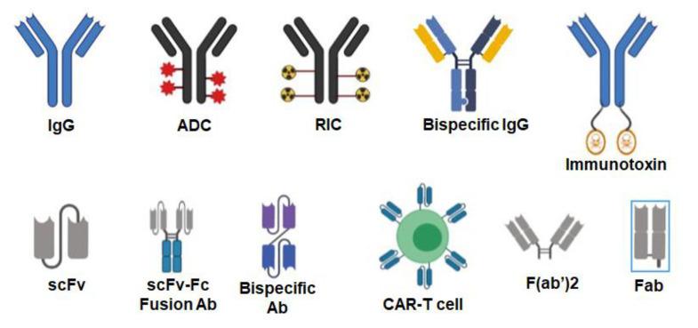 https://cdn.ncbi.nlm.nih.gov/pmc/blobs/d625/8953554/aa4e8ec544df/ijms-23-03041-g002.jpg